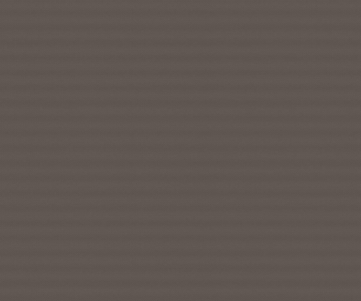 Orchestra Tempete Tweed